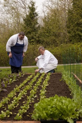 Cedarbrook-Chefs-Garden