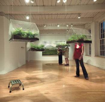 Chemical Heritage Foundation Engage 5,000 visitors with local environmental change with exhibits and programs, including this one by Vaughn Bell that gives visitors a worm’s-eye view of native plants. Photo: Kevin Kennefick