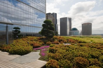 Seattle incentivizes green roofs in both commercial and residential applications because 50-75% of the precipitation in the city does not currently get absorbed or reused.