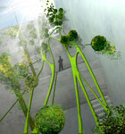 LOFT Vertical Farm Concept