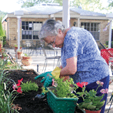 Greater Good: Senior housing gets hip to urban gardens