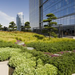 Analytics: Tracking a Green Roof