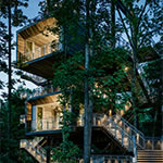 The Living Treehouse