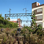 Typology: Rail Park, Philadelphia