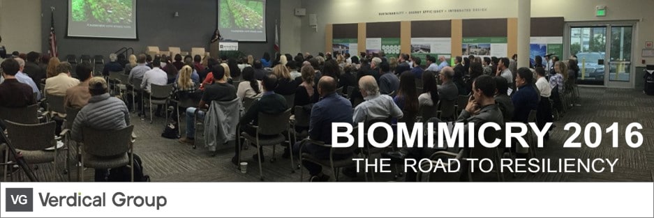Event Recap: Verdical Group’s Inaugural Biomimicry Conference