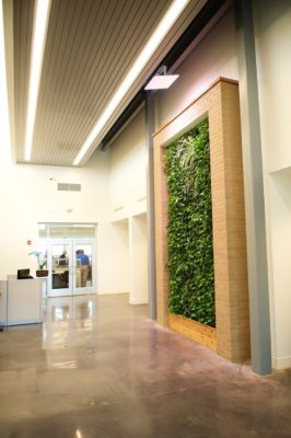 The living wall at the Innovation and Design Center.