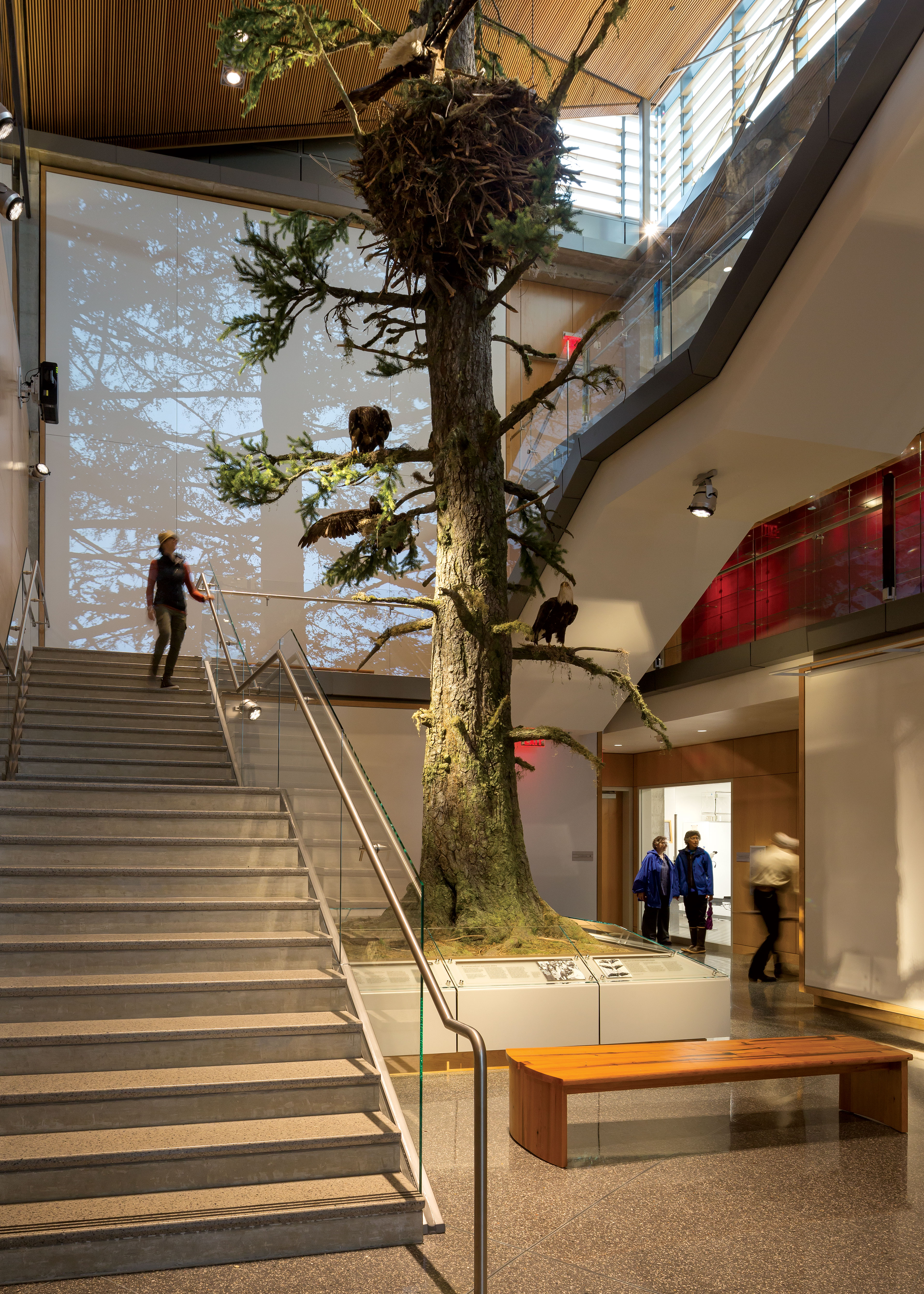 Andrew P. Kashevaroff Library, Archives and Museum staircase