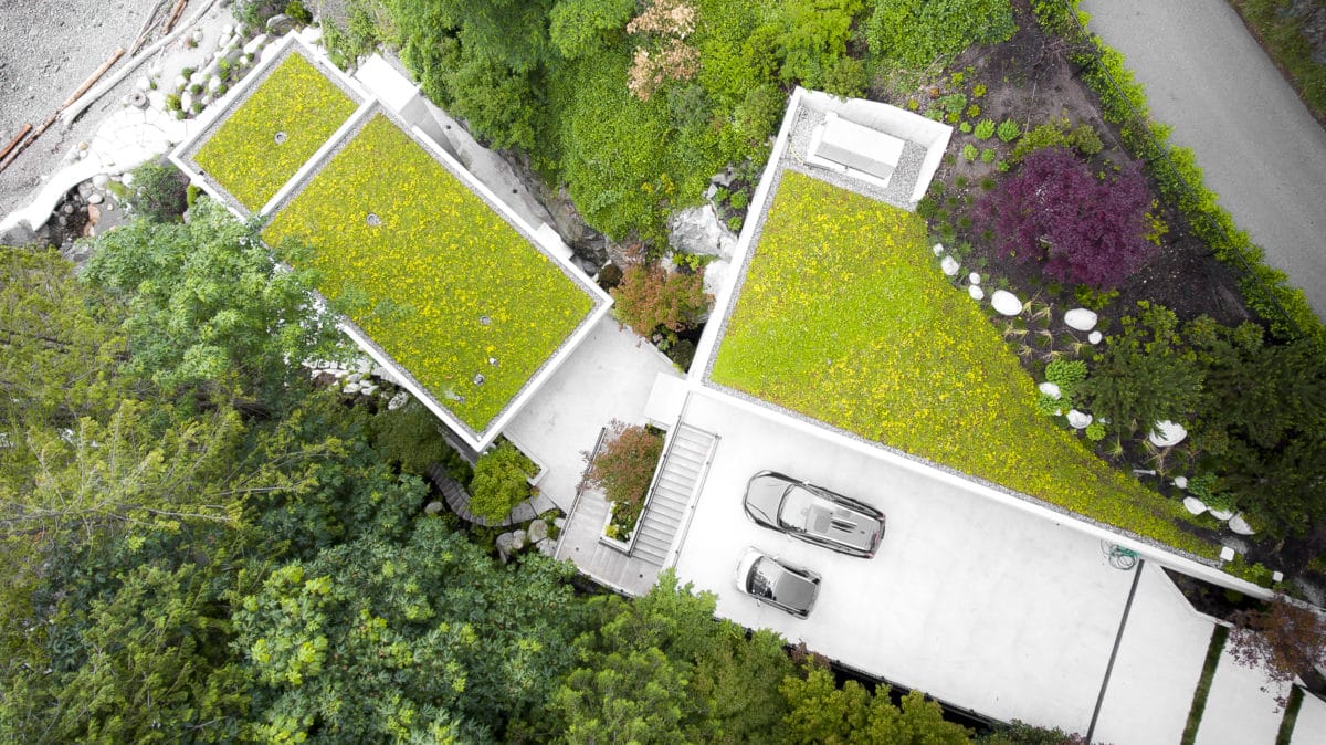 Architek Gleneagles Thriving Green Roof Overhead View