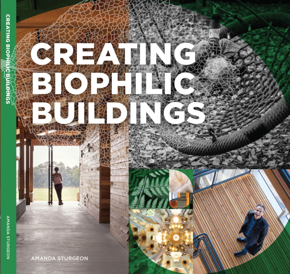 The Evolution of Biophilic Design - gb&d