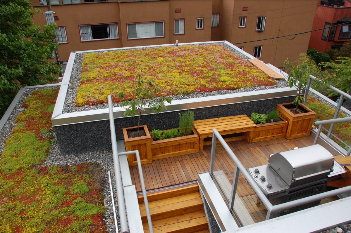 Architek Thriving Green Roof