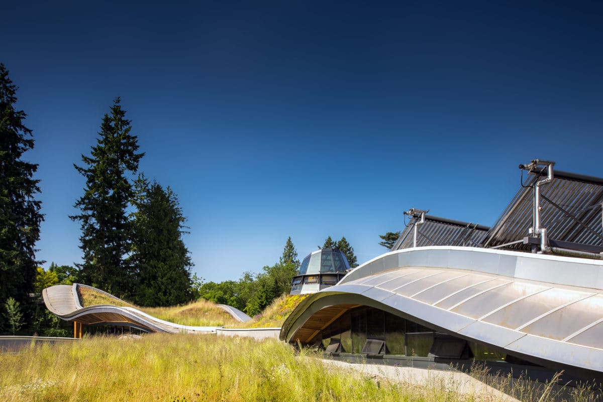 Thriving Green Roof Architek Van Dusen
