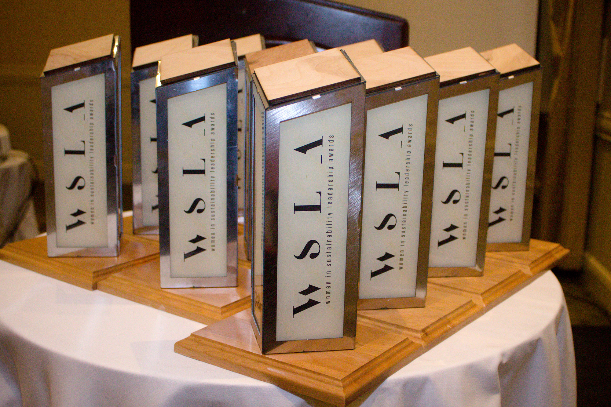 2017 Women in Sustainability Leadership Awards