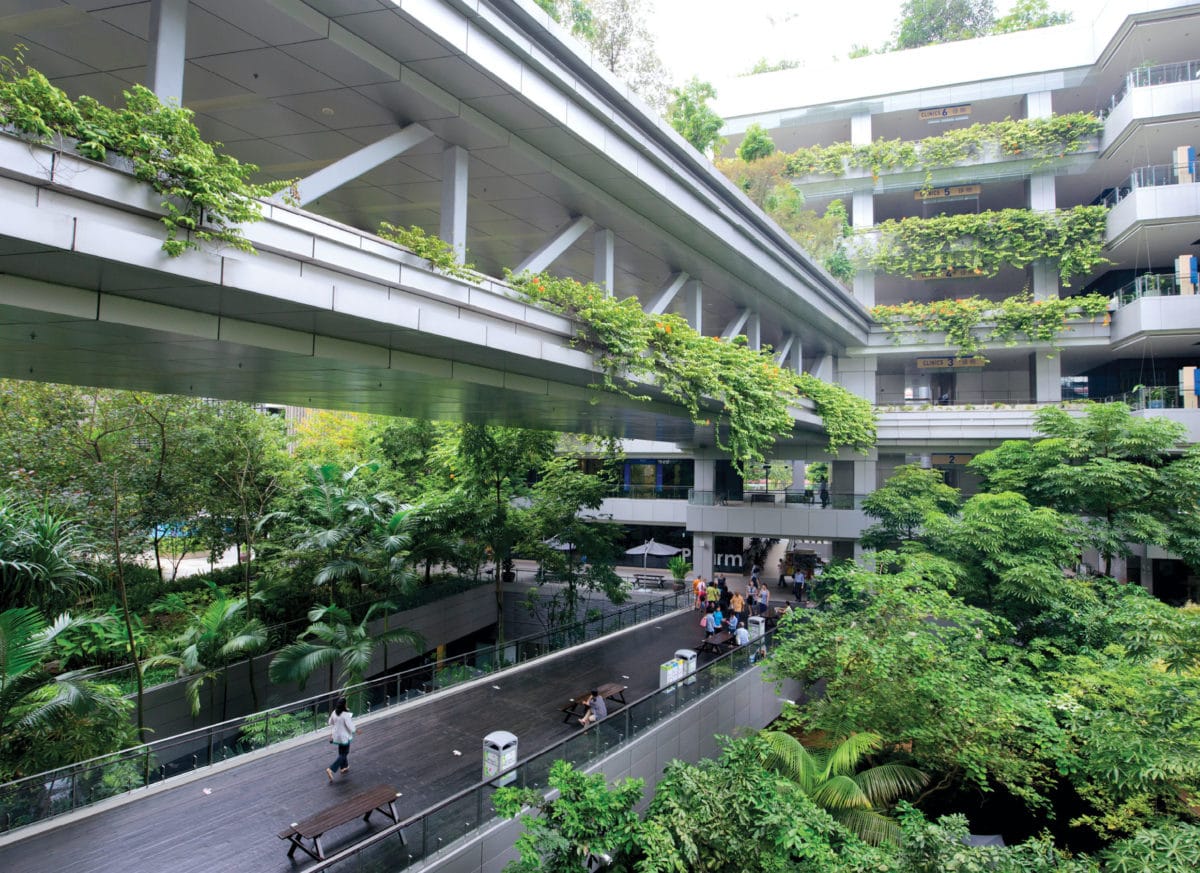 Biophilic Design is King at This Singapore Hospital