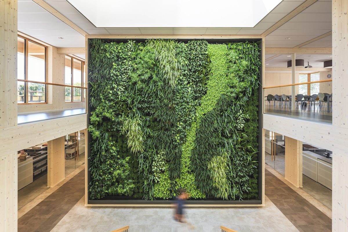 15 Biophilic Design Elements to Enhance Commercial Projects