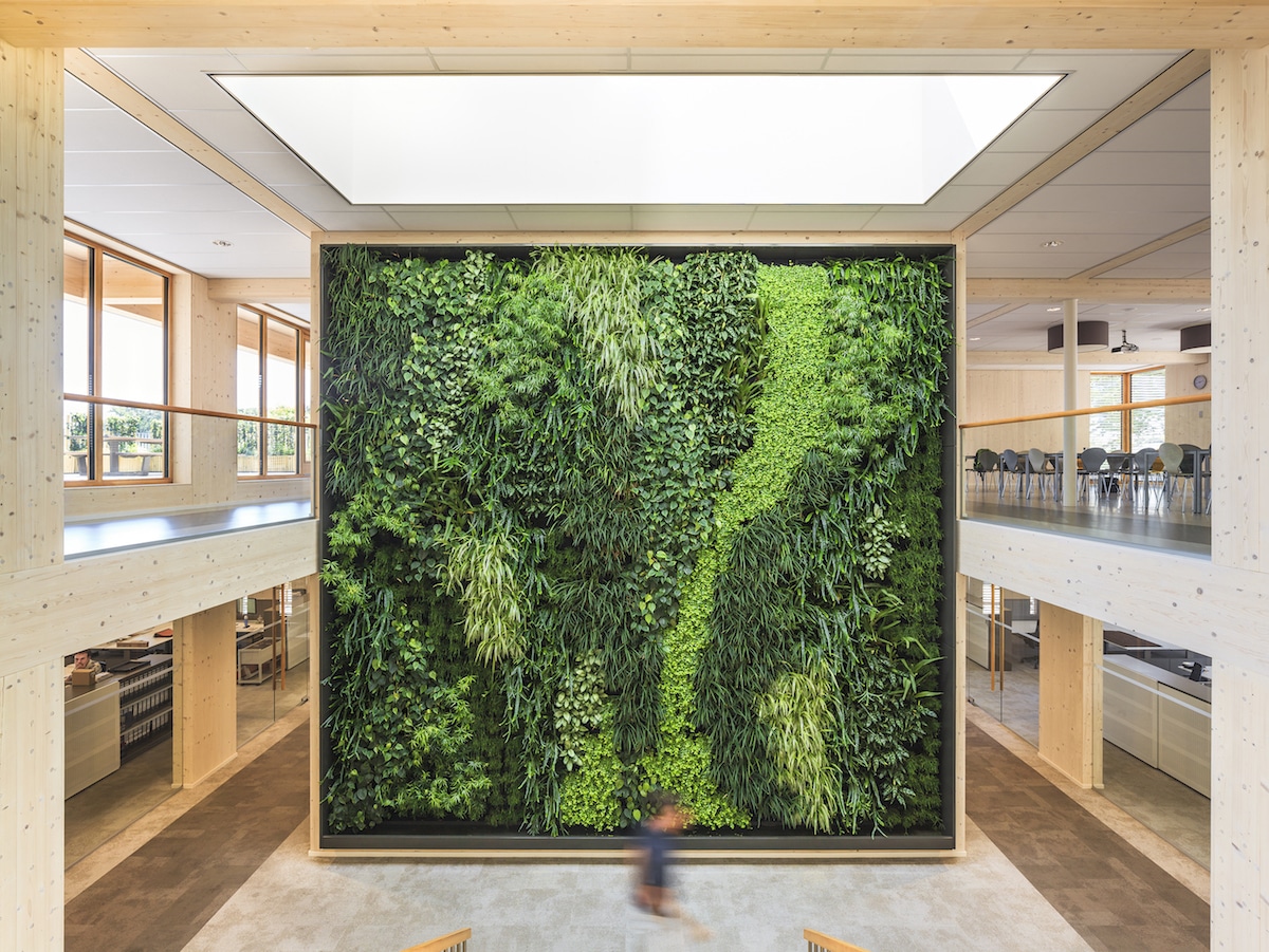 How to Create a Greener Office Building: Tips and Guide