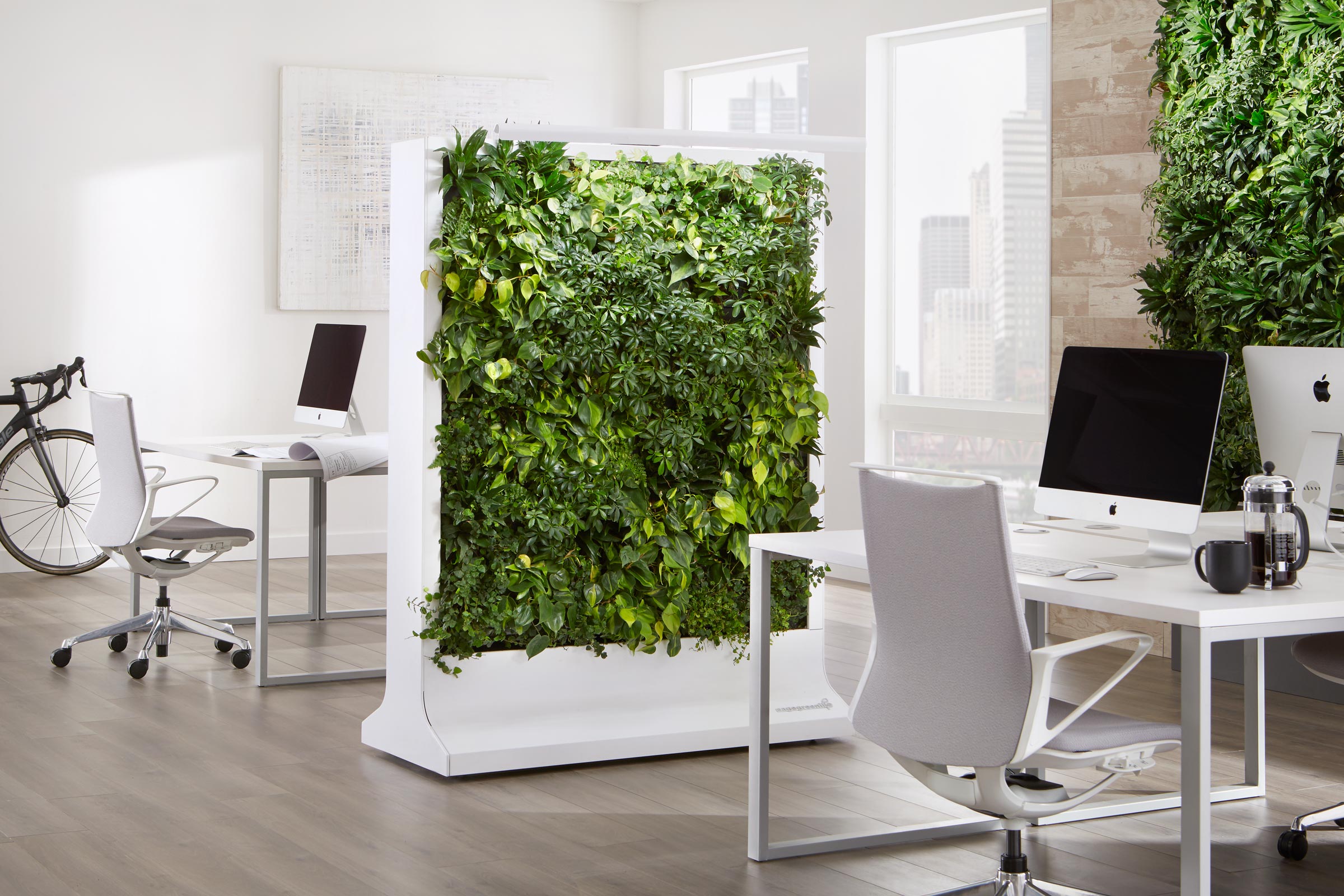 How to Make Better Spaces with Biophilic Design