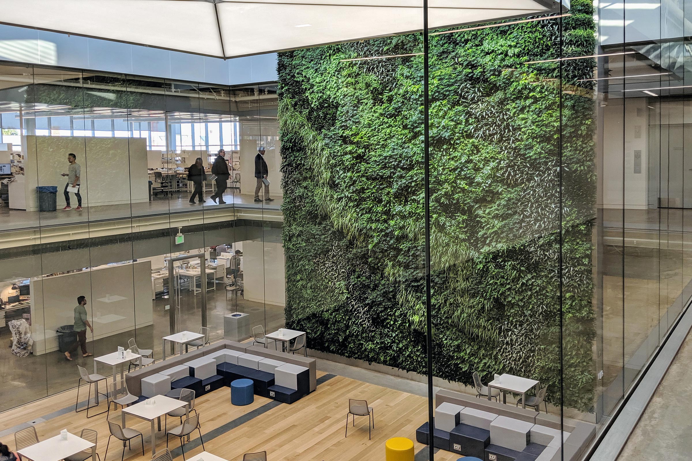 How to Incorporate Biophilic Design in Any Space