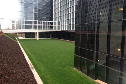 Photo inspiration: Gallery Detail: A Complete Guide To Understanding And Installing Green Roofs