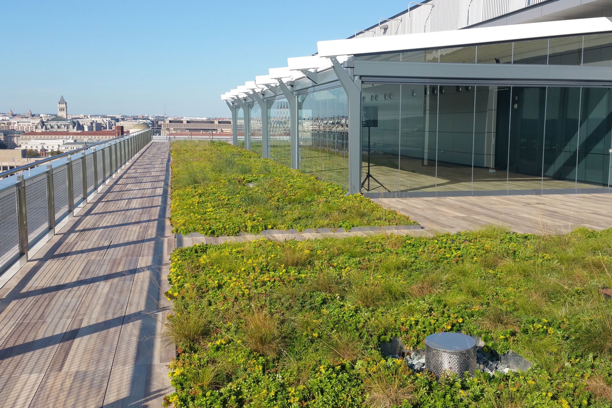 How Modular Plant Trays Simplify Green Roof Design