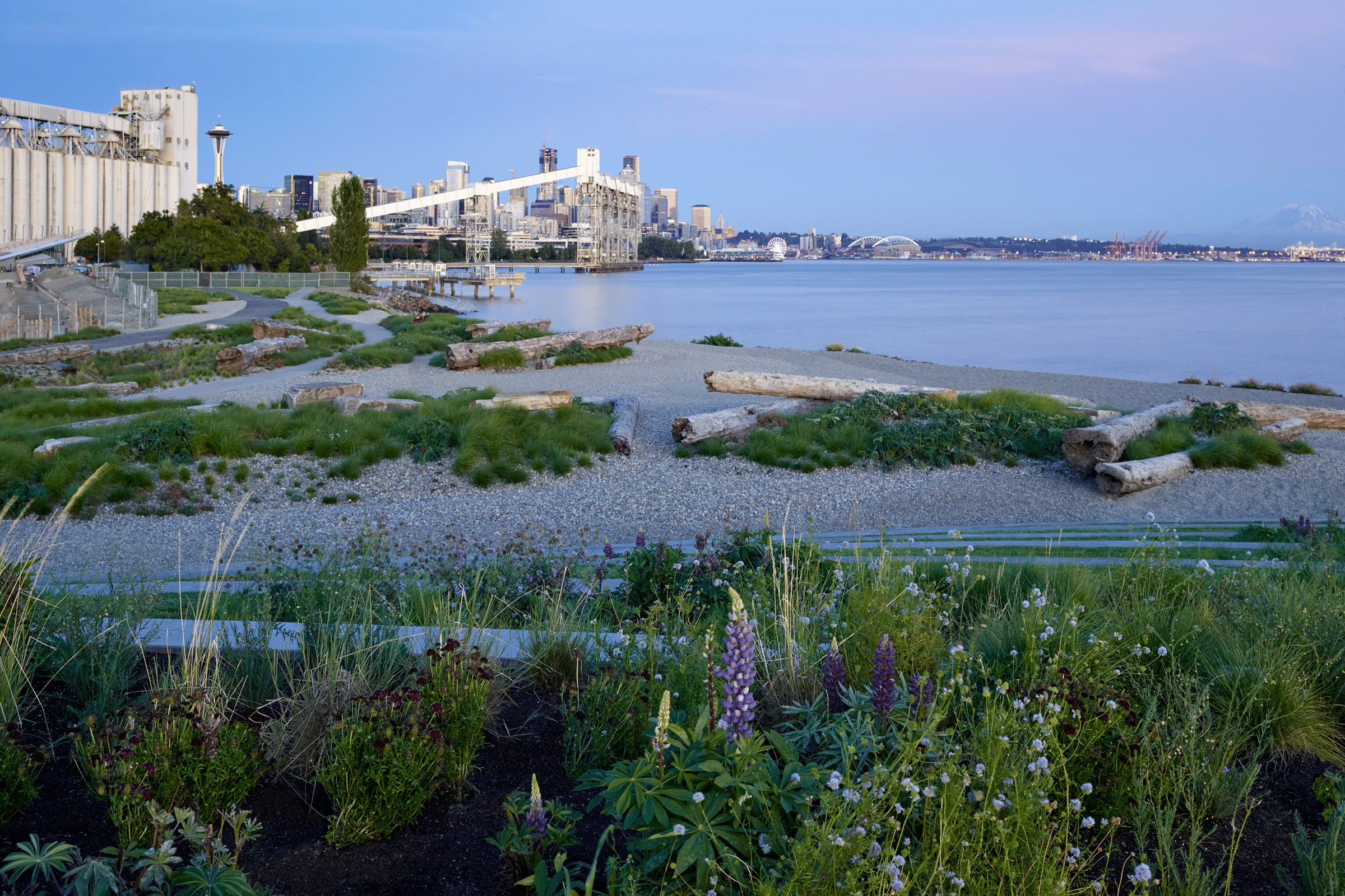 Designing Landscapes to Last: Surfacedesign’s Waterfront Seattle Park