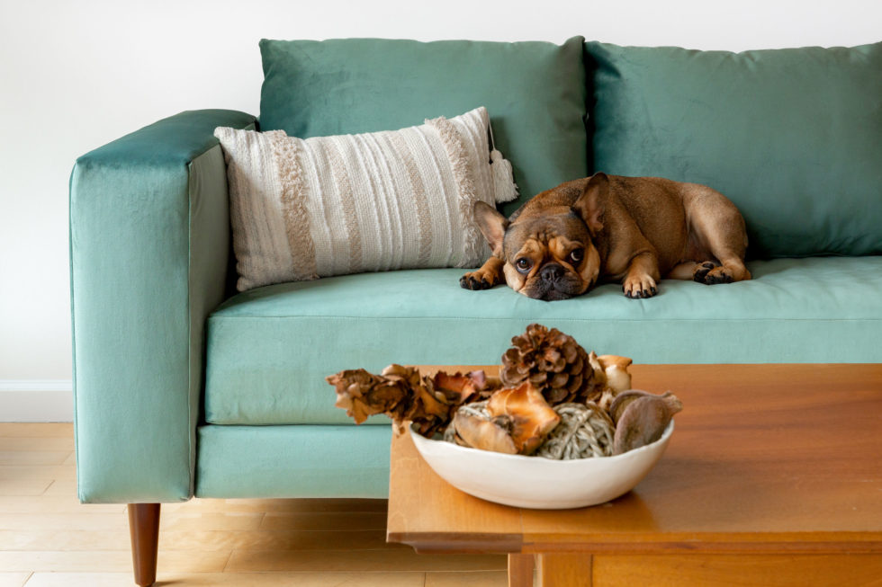 Sabai Makes Sustainable Sofas Using Recycled Bottles