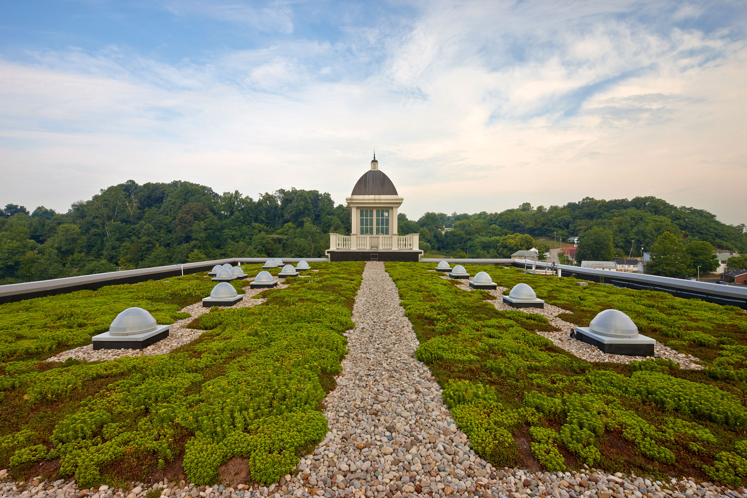 A Complete Guide to Understanding and Installing Green Roofs