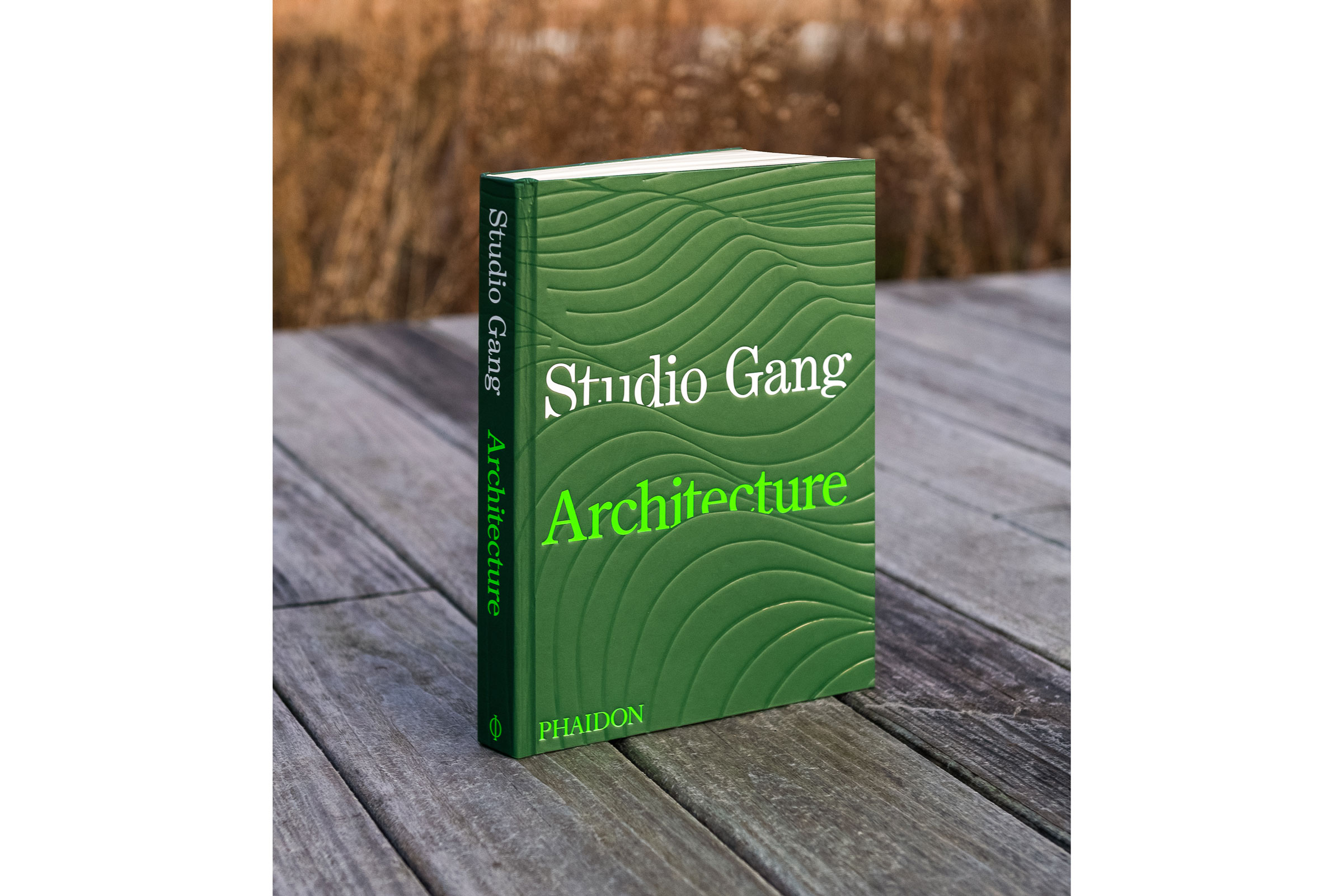 green architecture books studio gang cover