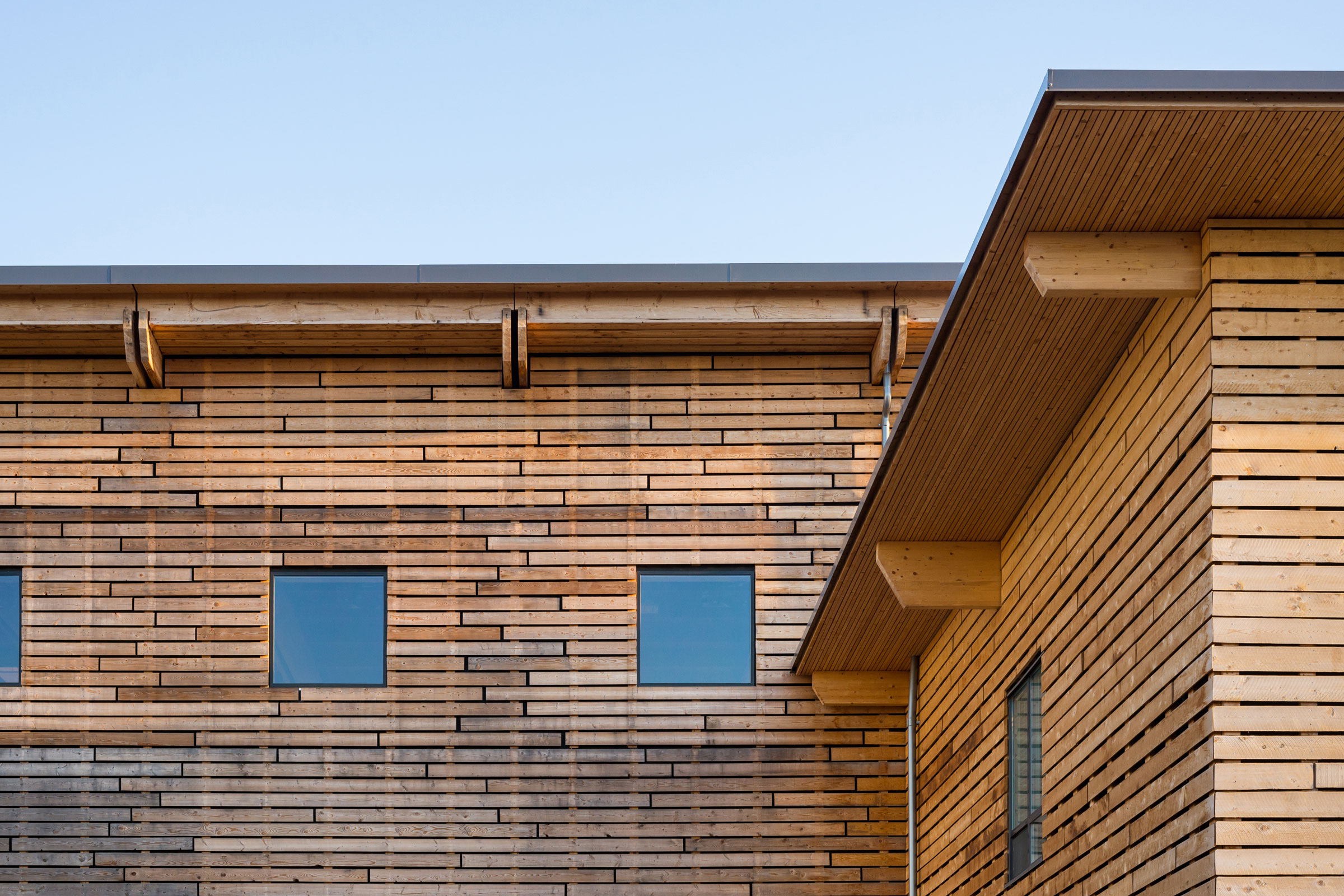 An Architect’s Guide to Choosing Wood for Construction