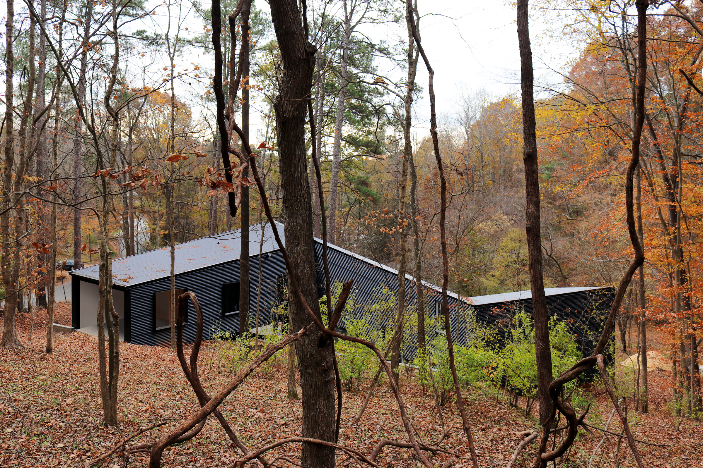 Hillside Custom Home