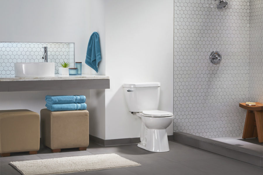 how to choose a high-efficiency toilet
