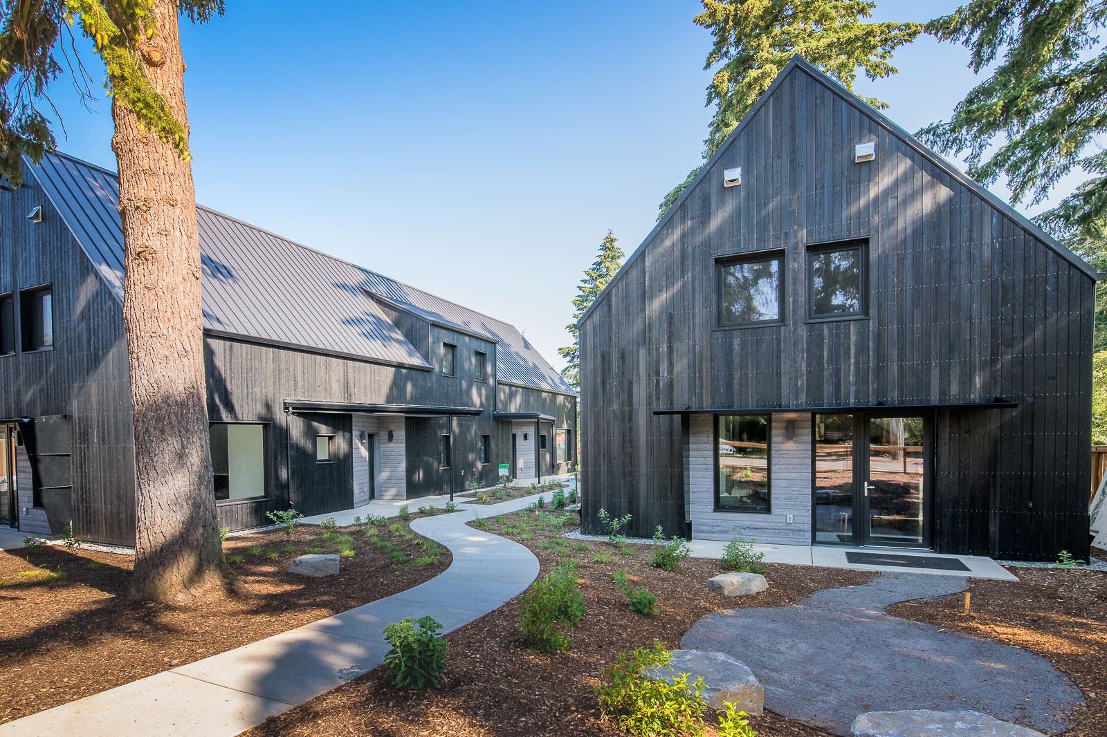 Choosing Sustainable Larch Siding for a Green Community in Portland, Oregon