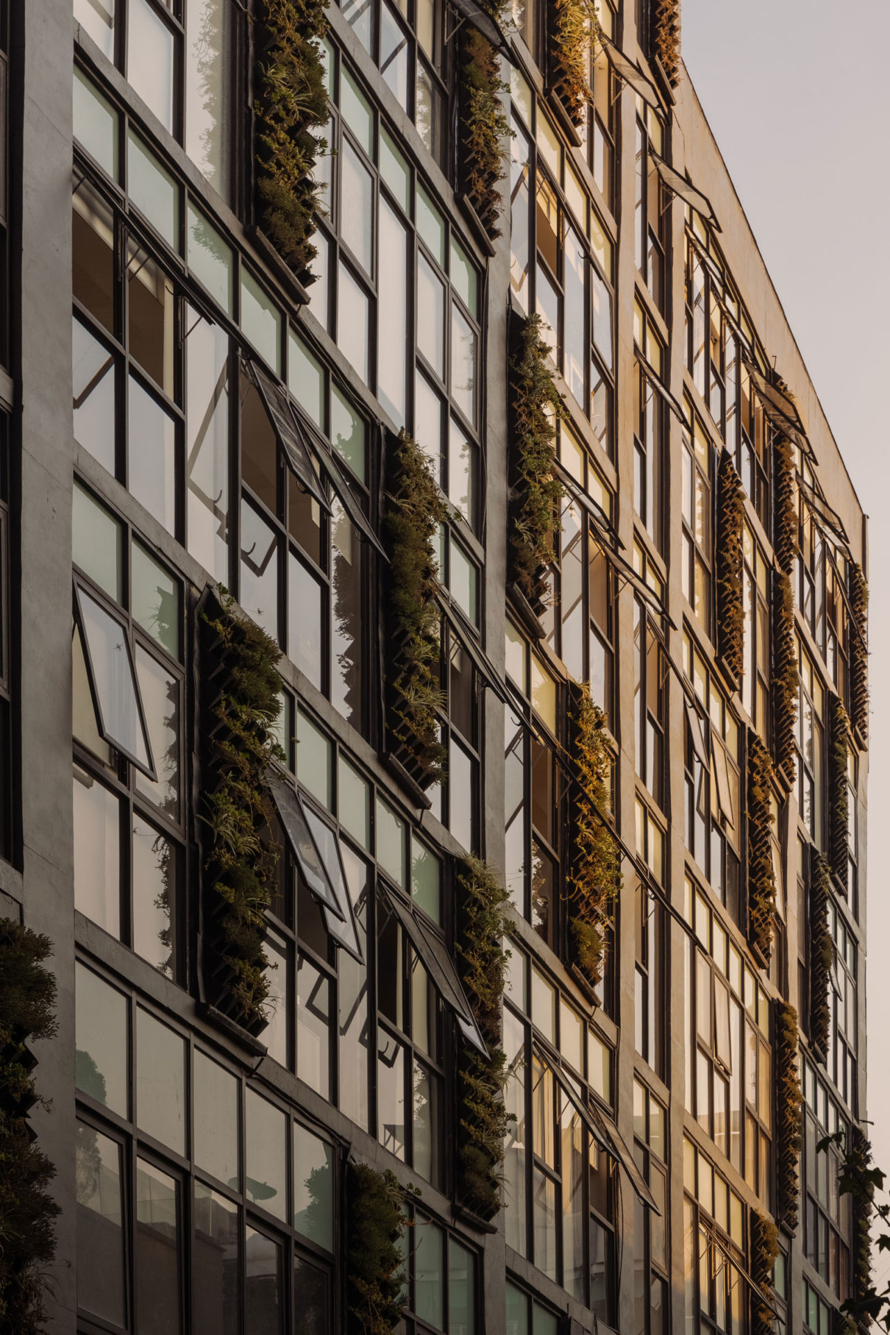 BRAG Arquitectos Designed Green Living Around a Historic Mexico Home - Green Living In Mexico