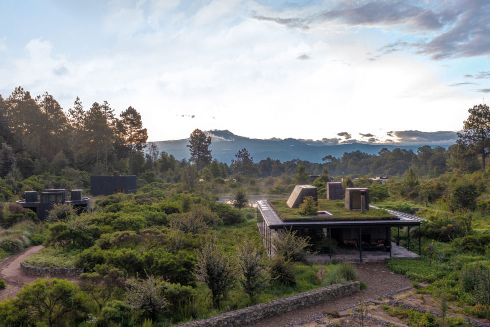 Sustainable Home Upgrades: Eco-Friendly Renovations That Pay Off