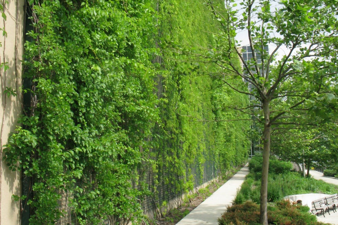 The History of Green Infrastructure