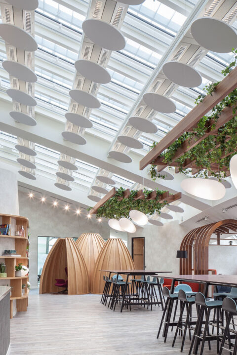 Image showcasing Designing Carbon Neutral Acoustic Solutions for the Office and Beyond