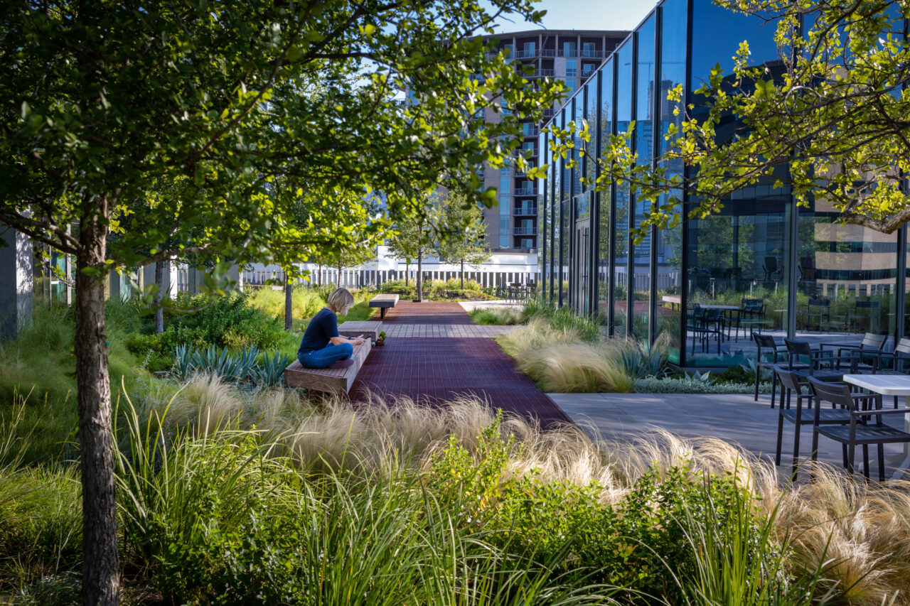 Image showcasing A Complete Guide to Understanding and Installing Green Roofs