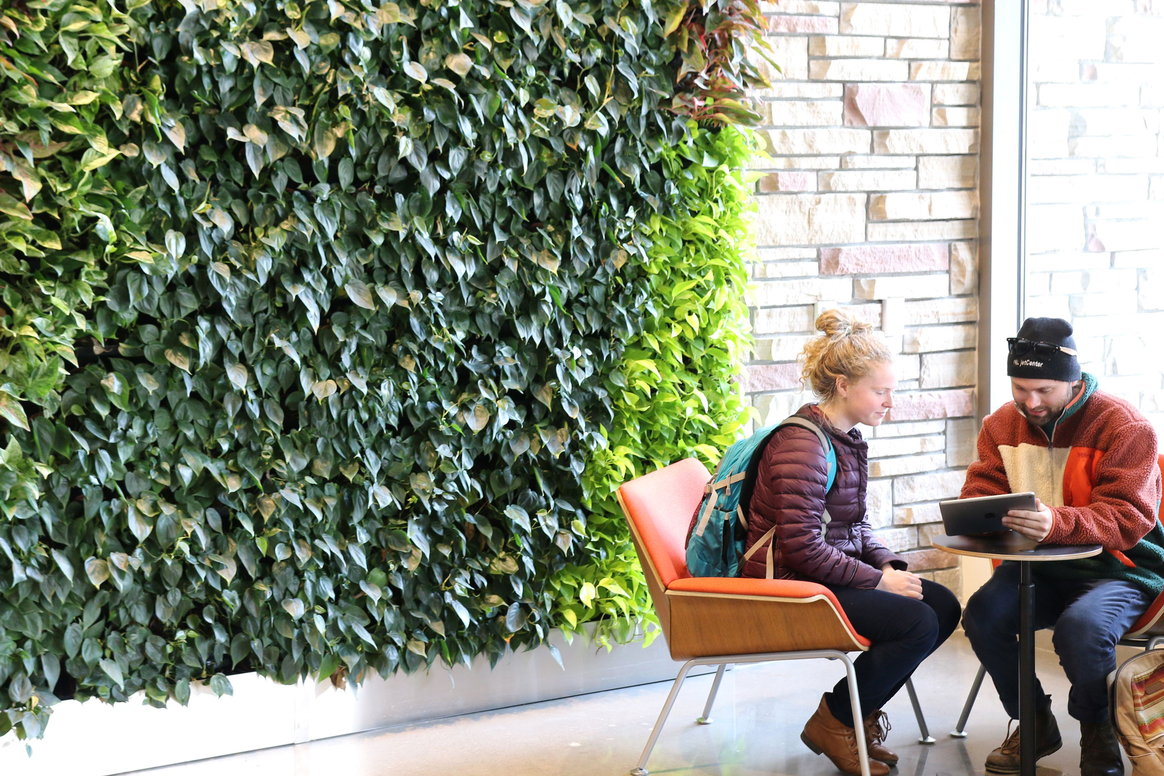 4 Steps to Implement Biophilic Design Enhancements into Commercial Spaces