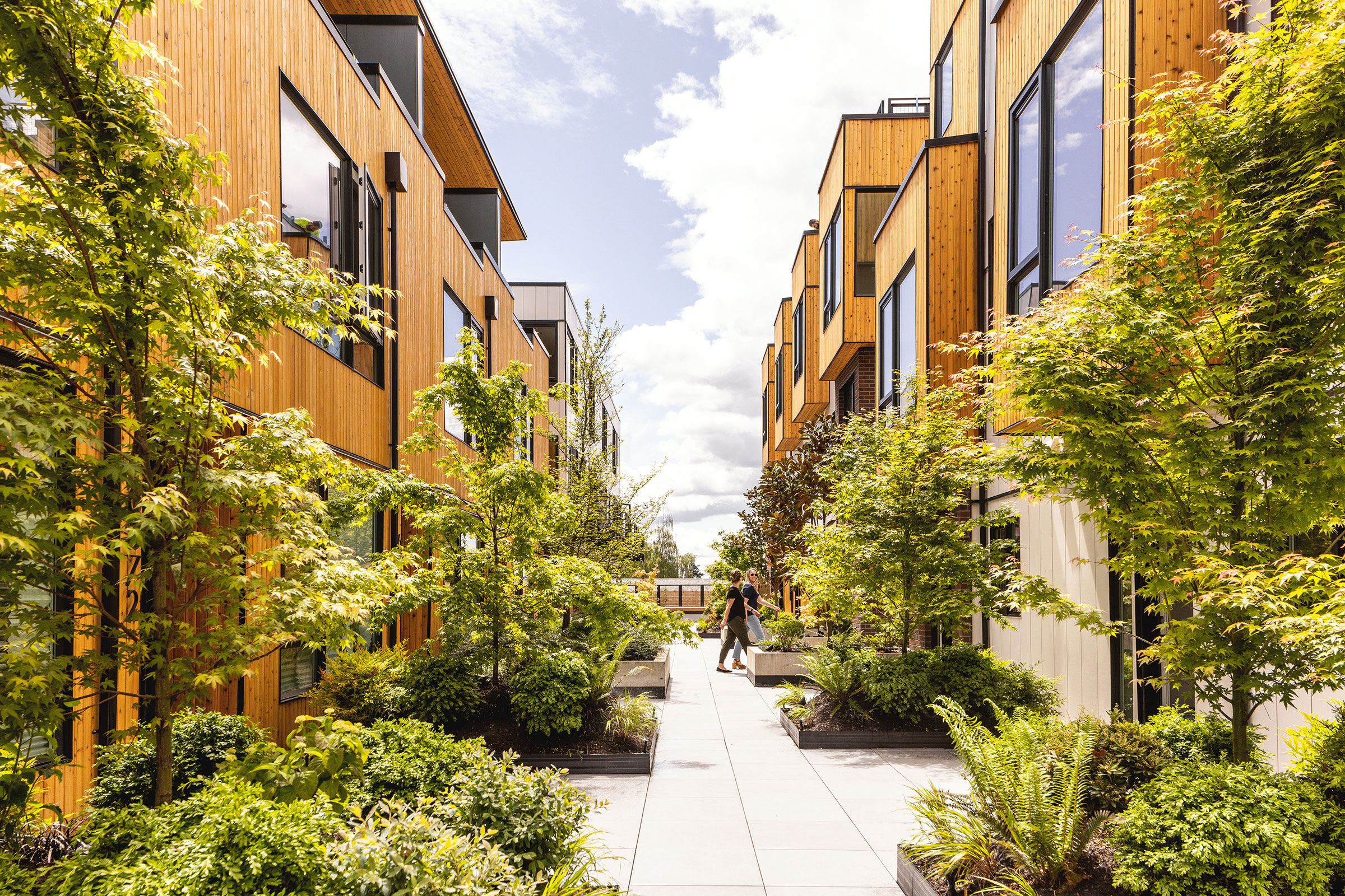 Climate-Friendly Townhomes in Seattle 03