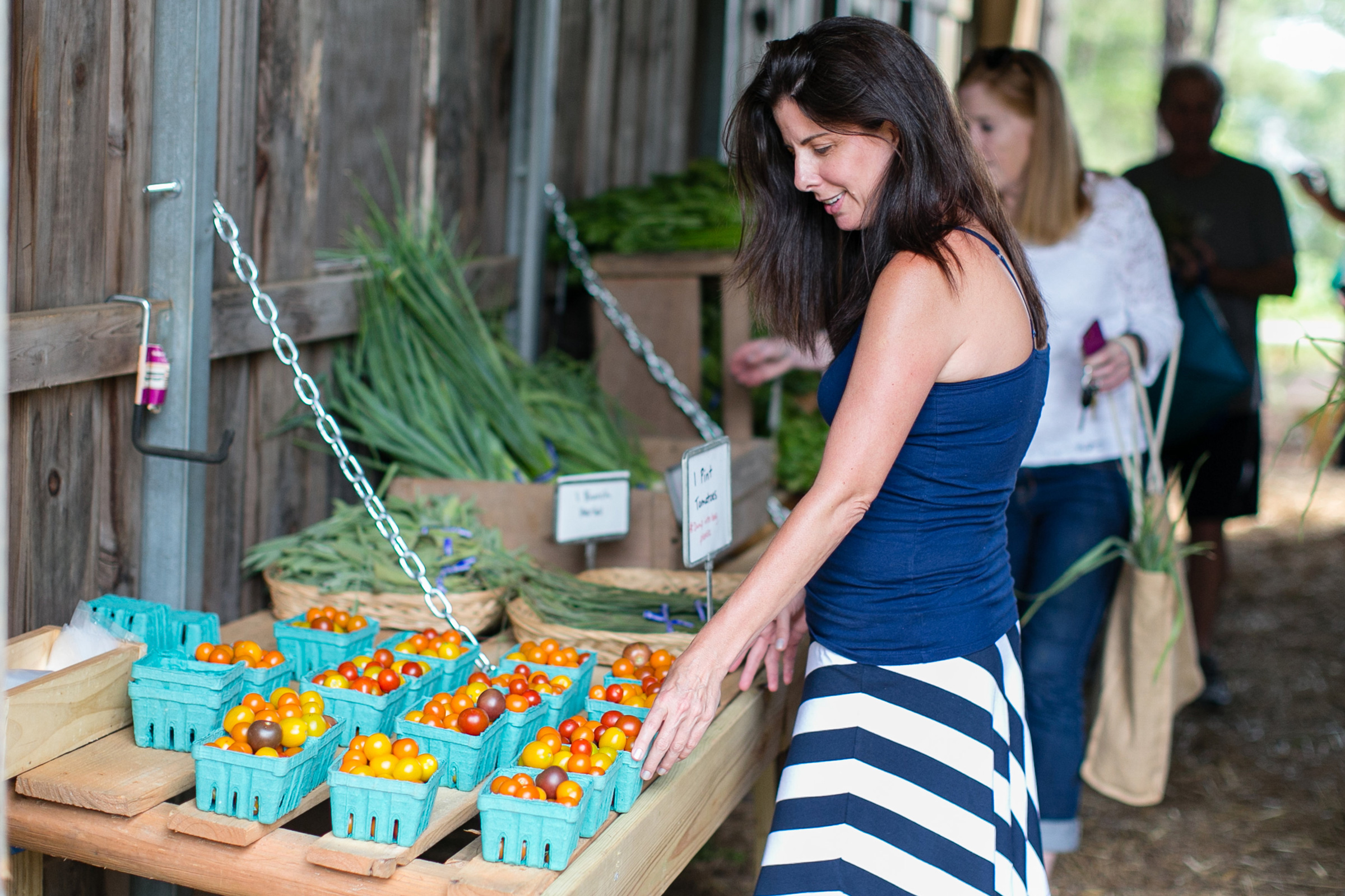 serenbe-CSA-Pickup-at-The-Farm