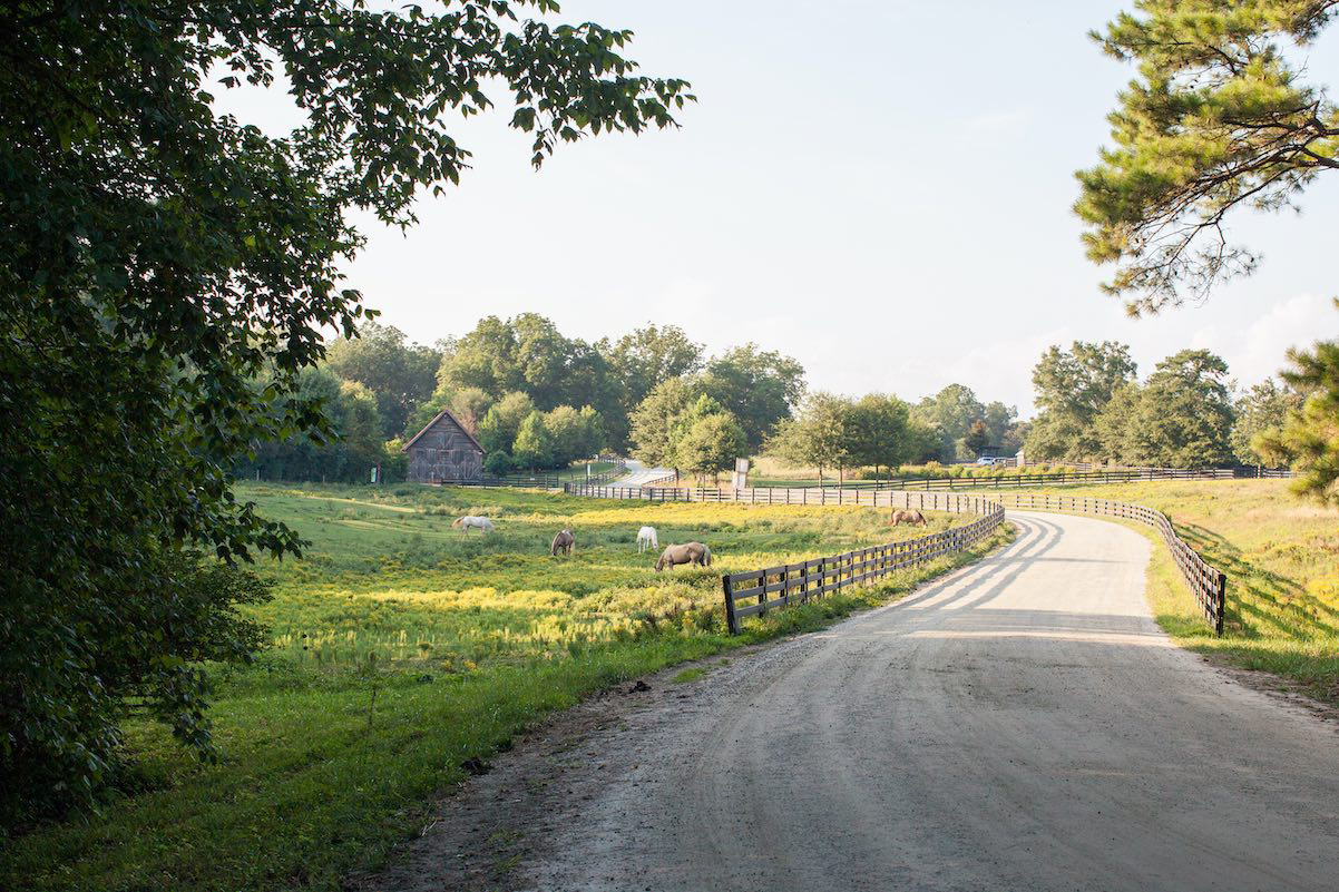 A Guide to Organic Crop Production