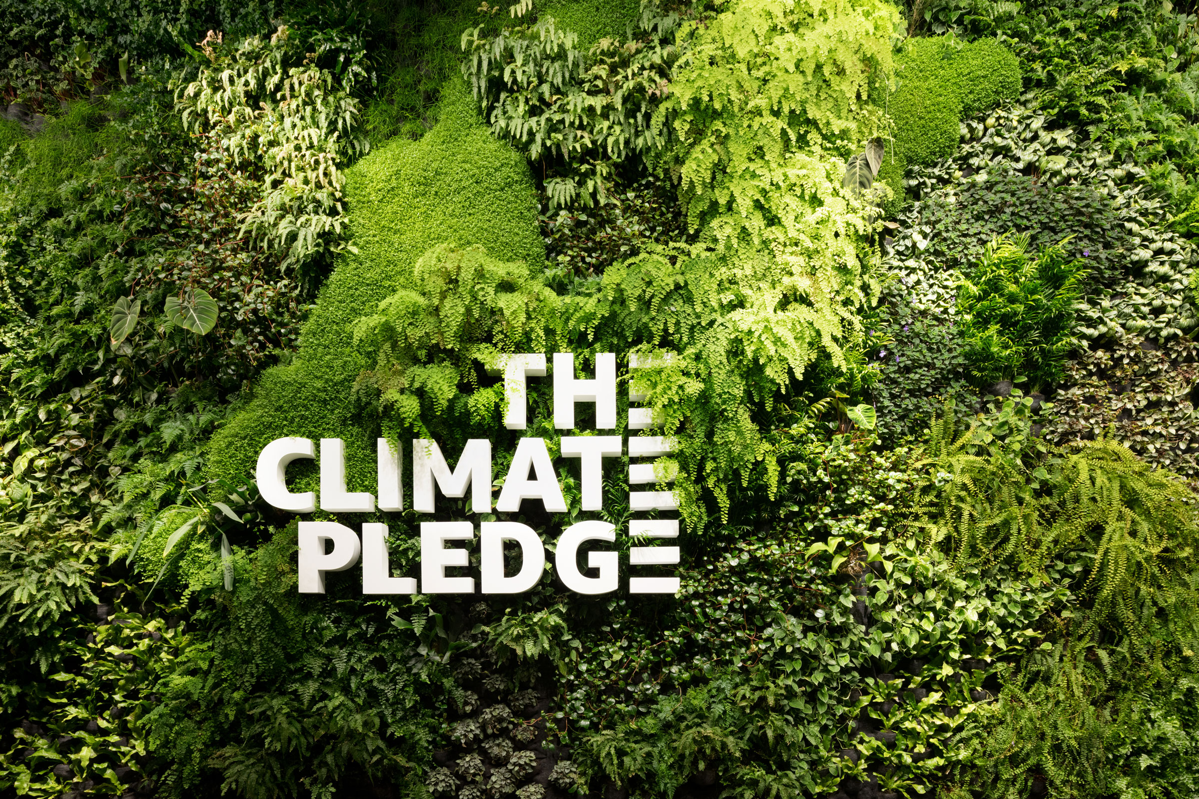 Climate Pledge Arena Proves How Sustainable Strategies Pay Off