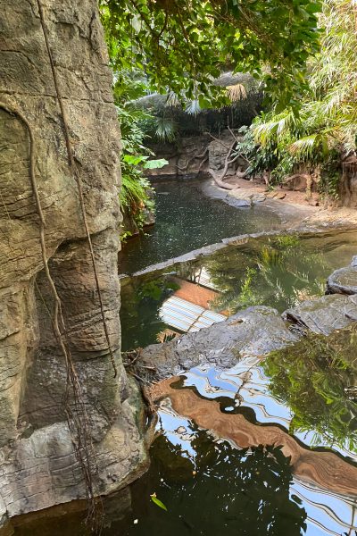 Bronx Zoo waterproofing 01