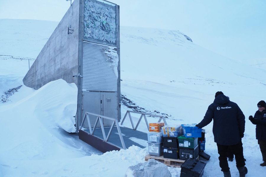 seed-vault-027717_Haakon-Daae-Brensholm-Visit-Svalbard_Visit-Svalbard