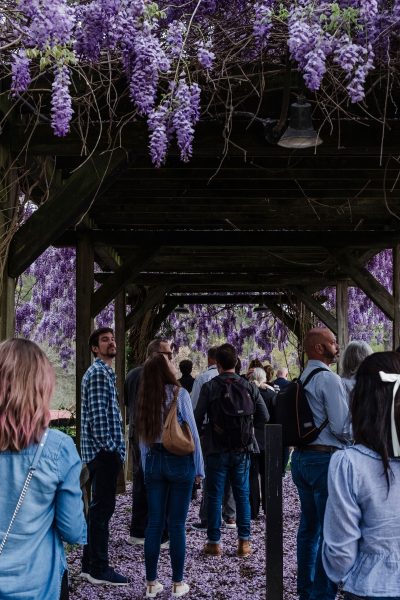 Biophilic-Leadership-Summit-blsf_114