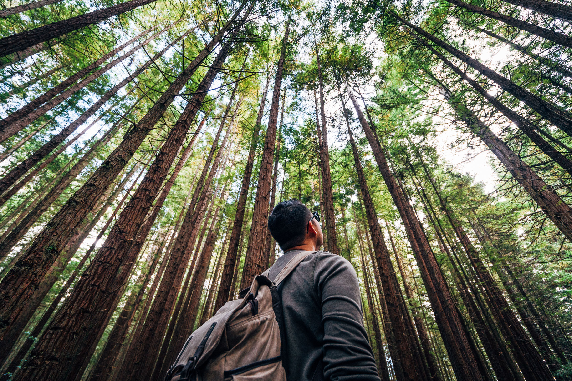 Certifications and Code Compliance are Driving Sustainable Innovation