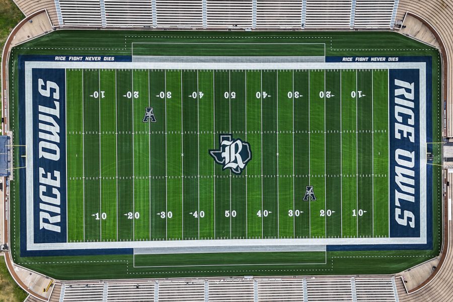 innovative-synthetic-grass rice owls