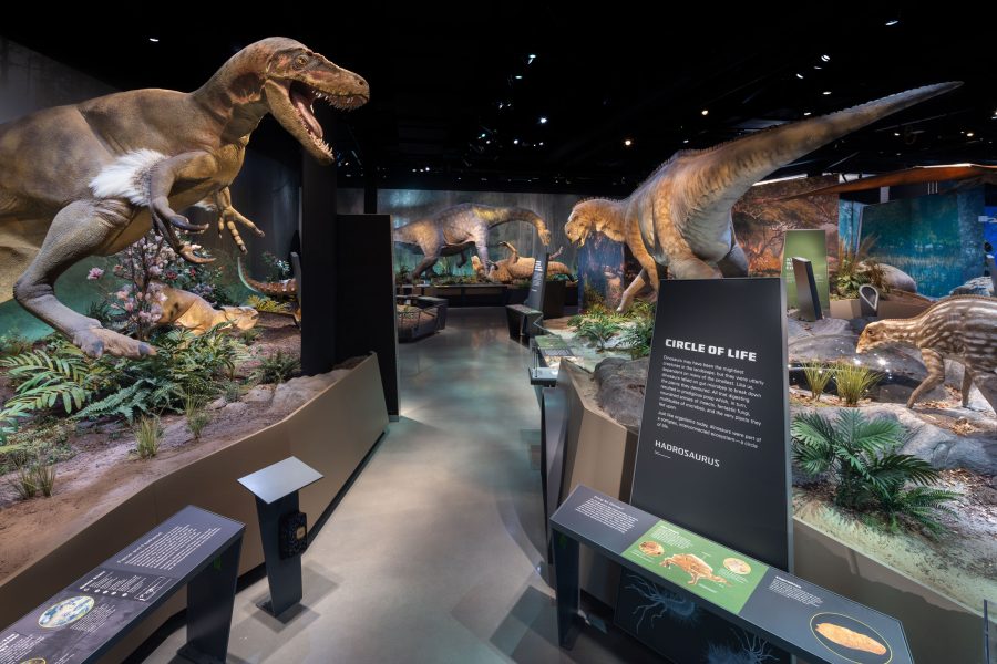 Edelman-Fossil-Park-Design--EFM2---Credit_-G&A_Brett-Beyer