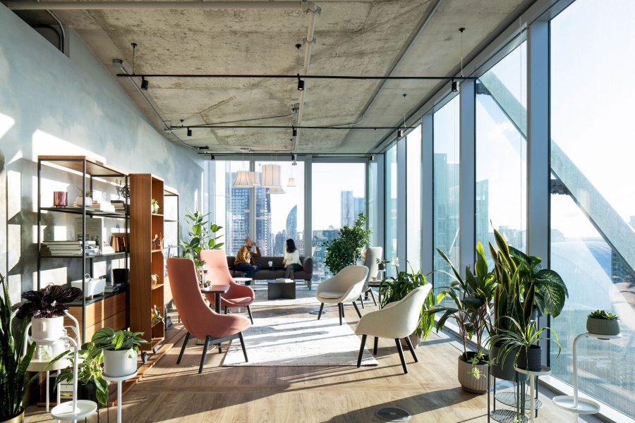 BDP Quadrangle platinum oasis