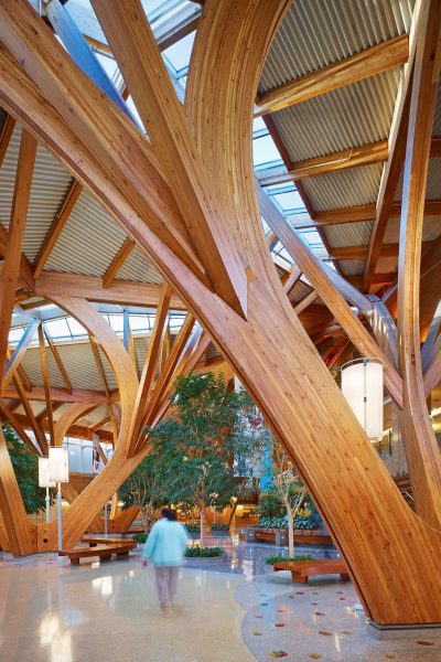 Salutogenic-Design-MUST-Farrow-Credit-Valley-Hospital_Photo-by-Tom-Arban,-courtesy-of-Farrow-Partners