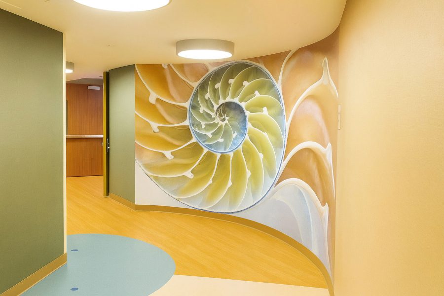 designing spaces that heal 03